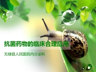 抗生素的临床合理应用幻灯片