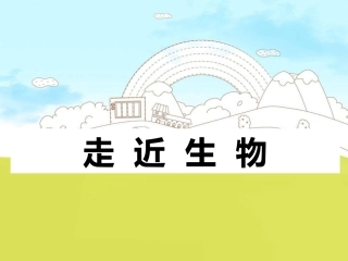 生物（第一节课）