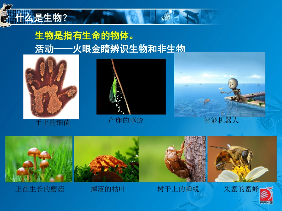 生物与生物学_第2页