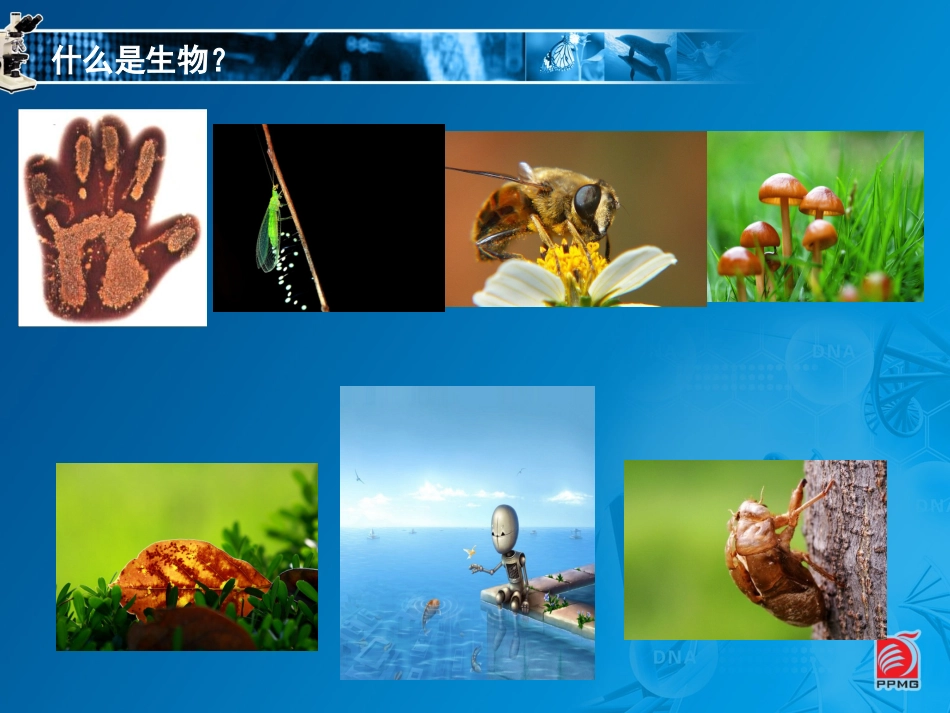 生物与生物学_第3页