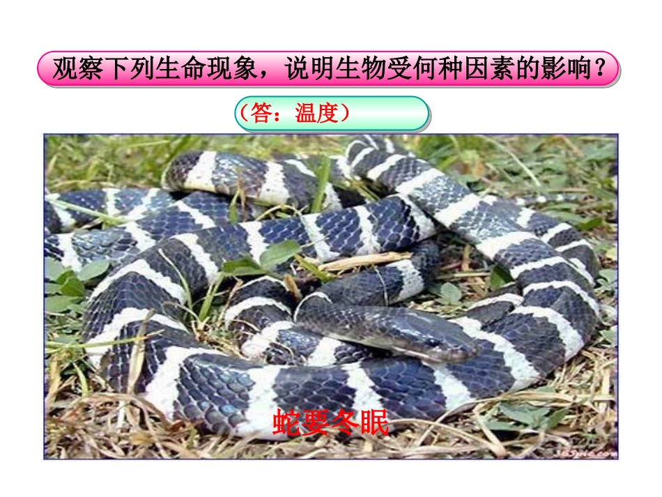 生物与环境的相互影响_第3页