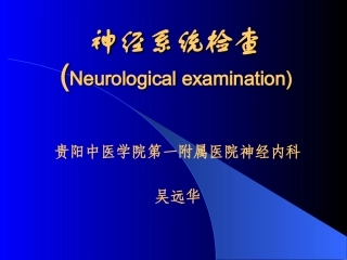神经系统体格检查