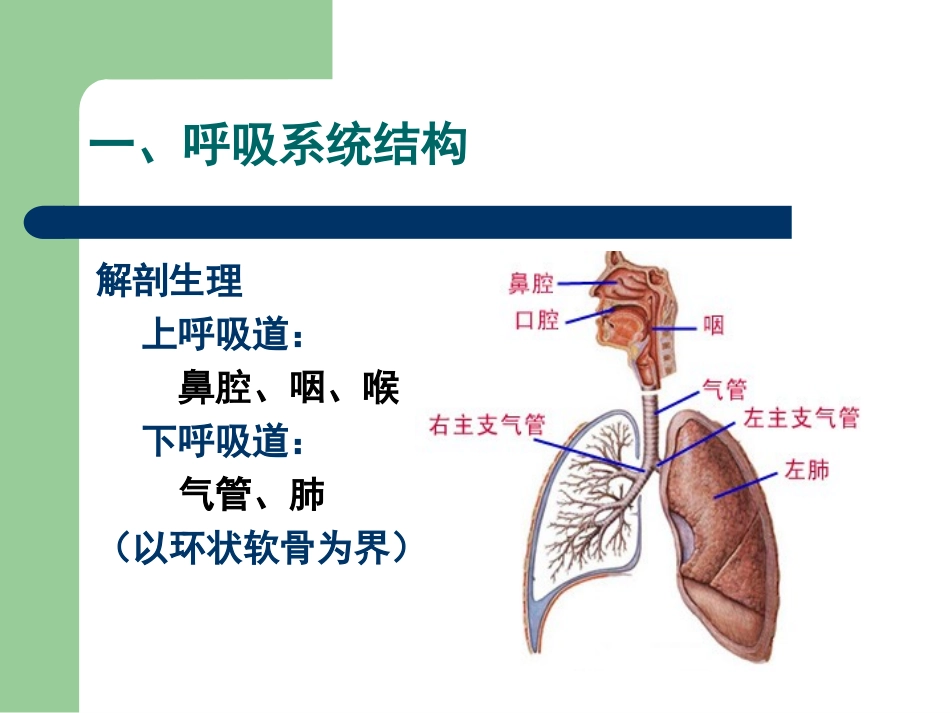 呼吸系统疾病_第3页