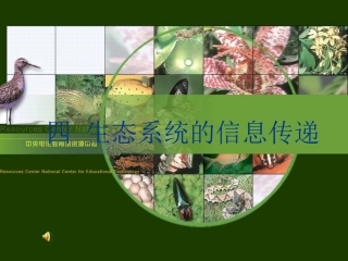 生态系统的信息传递及其稳定性