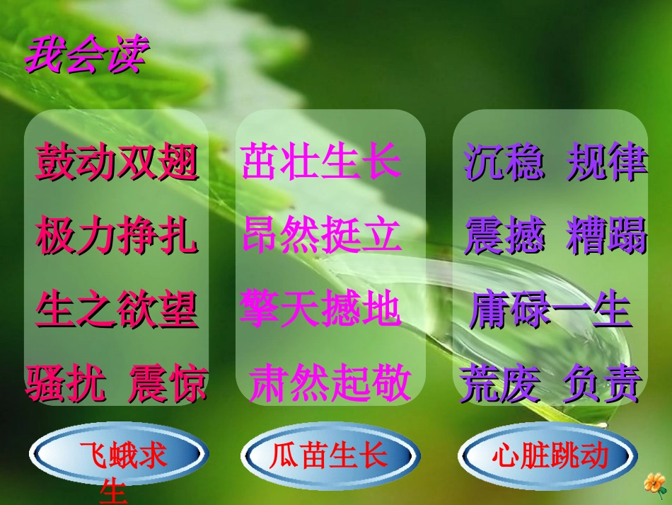 生命生命PPT_第3页