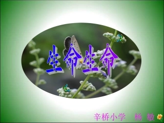 生命生命PPT
