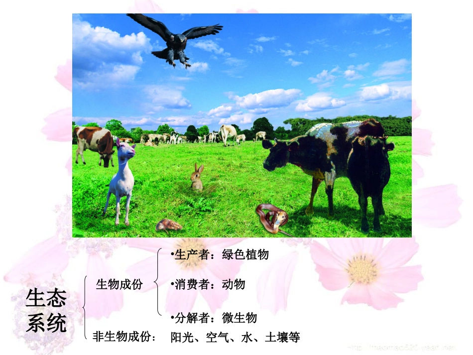 生态系统的自我调节_第2页