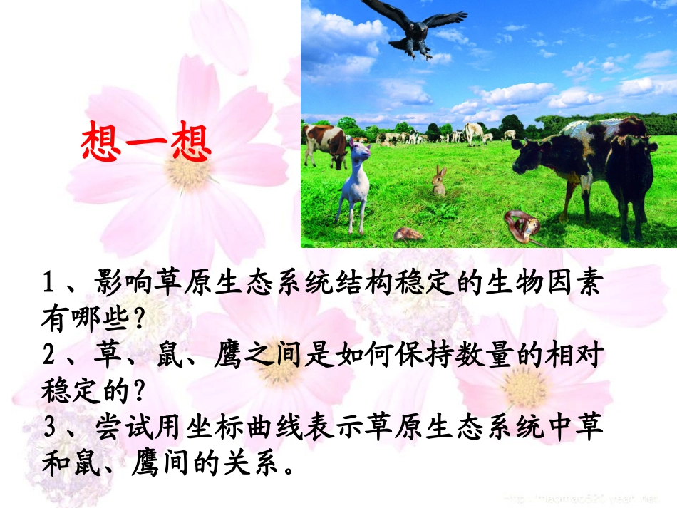 生态系统的自我调节_第3页