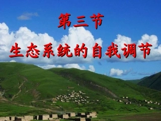 生态系统的自我调节