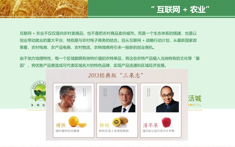 农产品电子商务_第2页