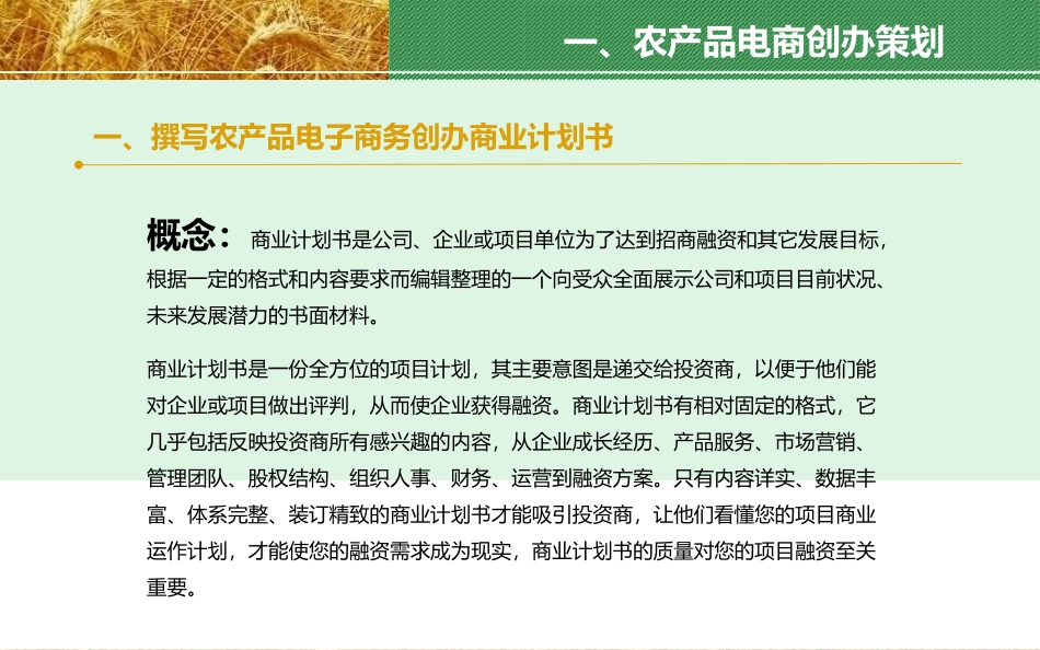 农产品电子商务_第3页