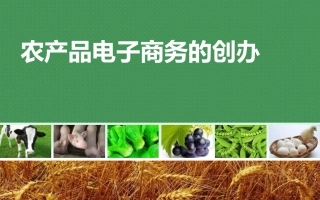 农产品电子商务