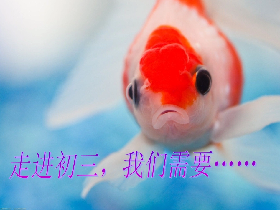 班会：走进初三_我们需要_第1页