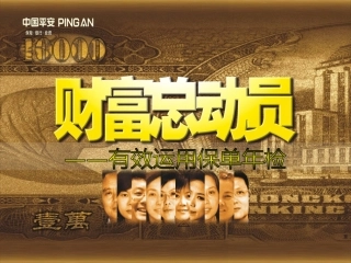 有效运用保单年检