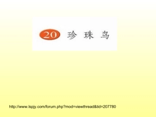 珍珠鸟第一课时