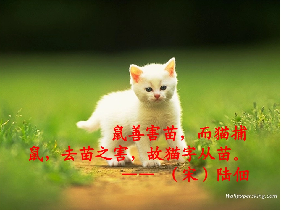 猫_老舍2-副本_第2页