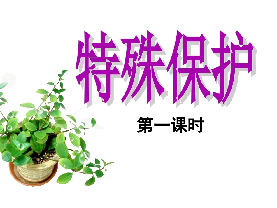 特殊保护课件_第3页