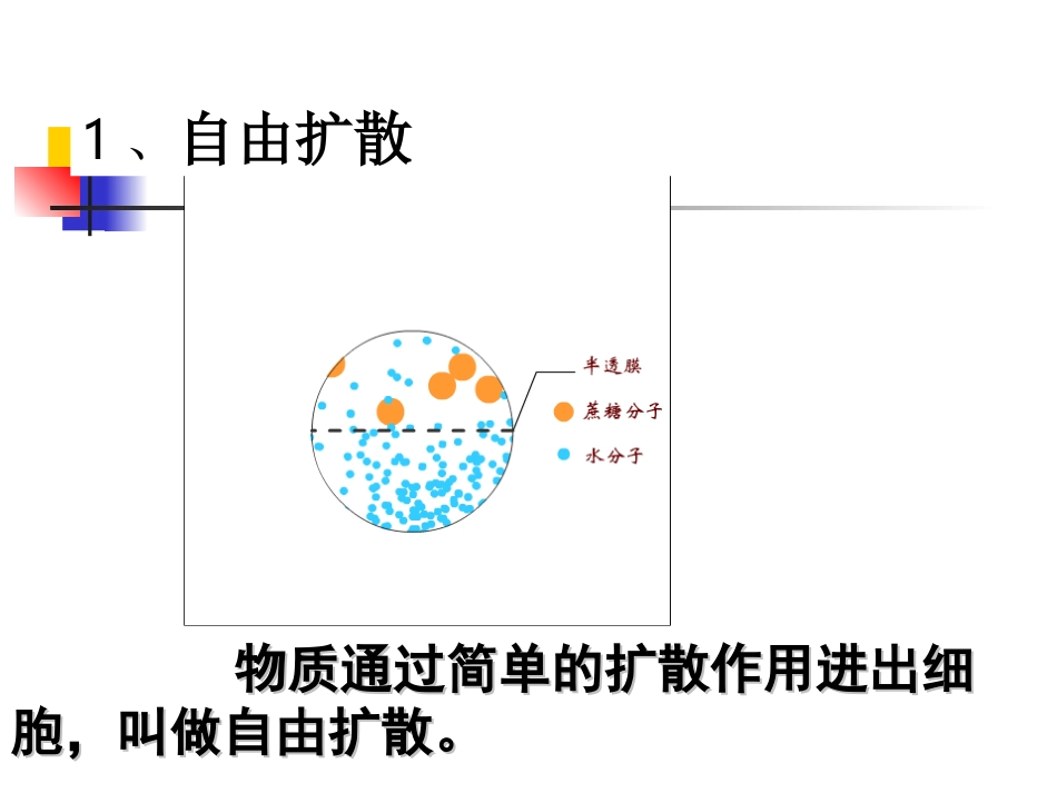 物质跨膜运输的方式课件_第2页