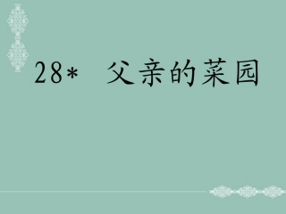 父亲的菜园 (3)
