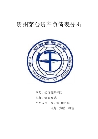 资产负债表水平分析&垂直分析