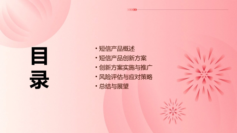 短信产品创新方案课件_第2页