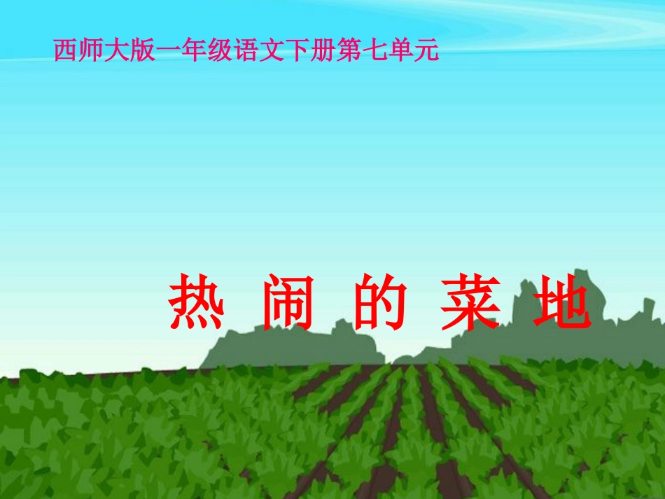 热闹的菜地课件_第1页