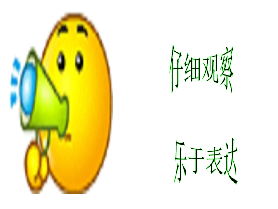 热闹的菜地课件_第2页