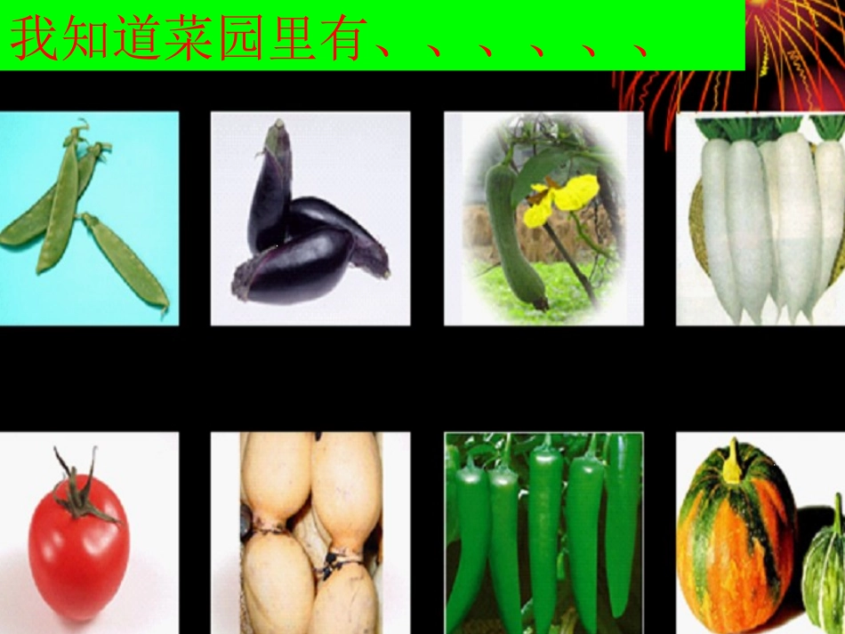 热闹的菜地课件_第3页