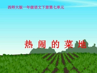 热闹的菜地课件