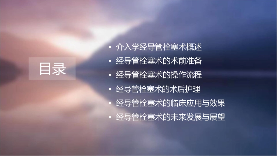 介入学经导管栓塞术课件1_第2页