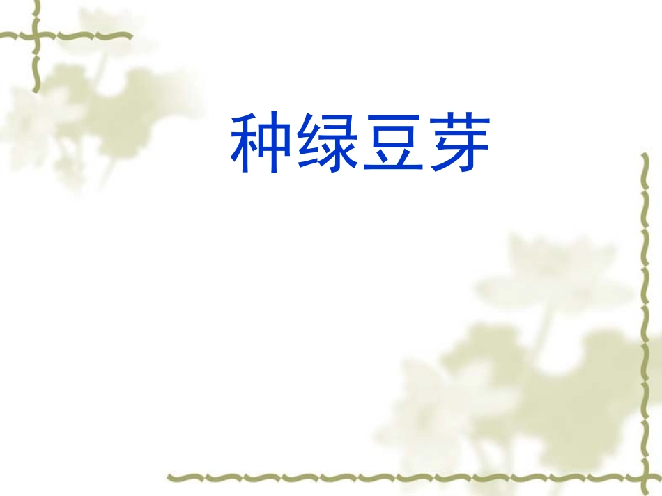 观察日记种豆芽_第1页