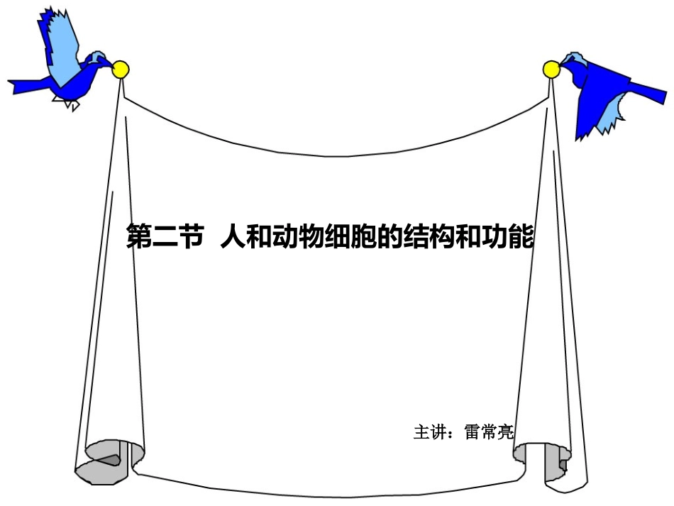 动物细胞的结构和功能_第1页