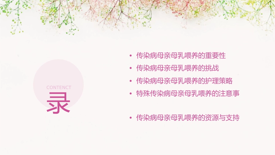 传染病母亲的母乳喂养护理课件1_第2页