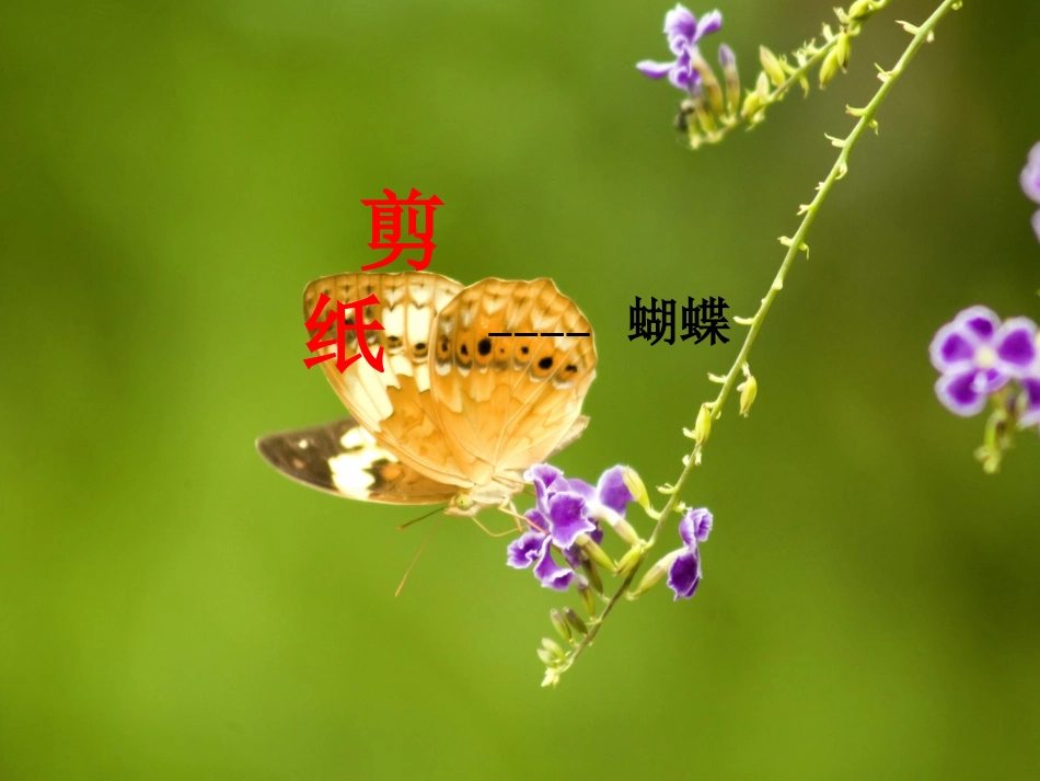 人教版_七年级_美术课件_剪纸_第2页