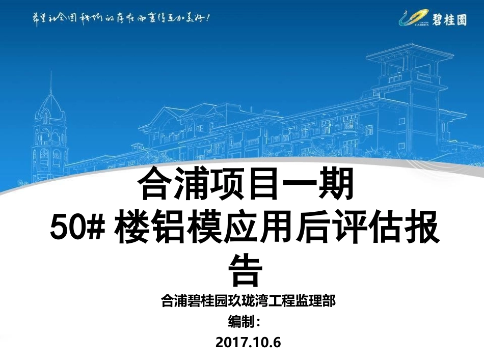 某某铝模项目一期50#楼铝模后评估2017.10.5_第1页