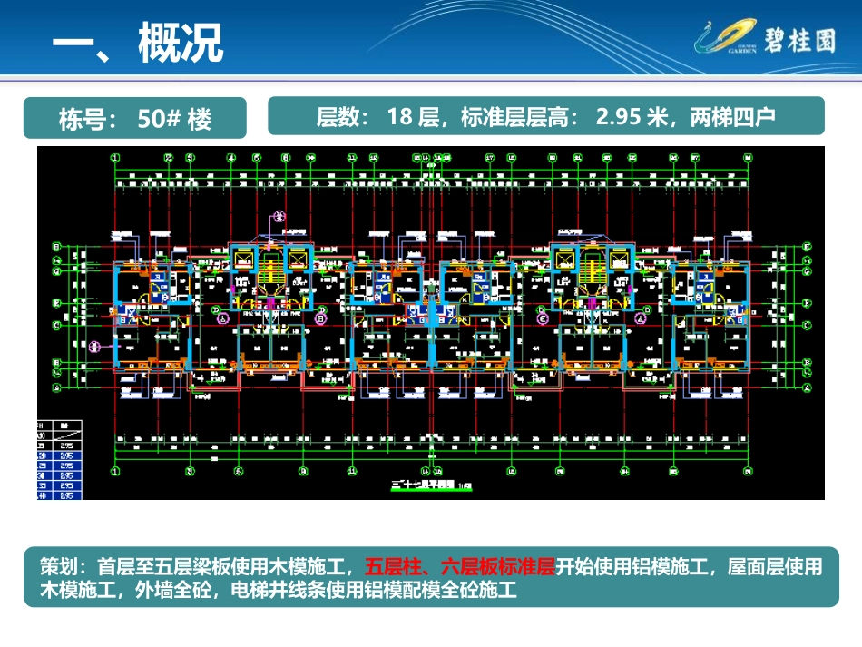 某某铝模项目一期50#楼铝模后评估2017.10.5_第3页