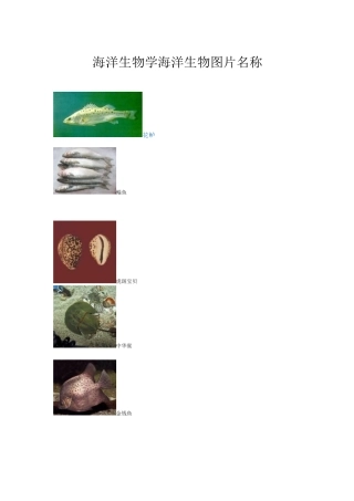 海洋生物学海洋生物图片名称