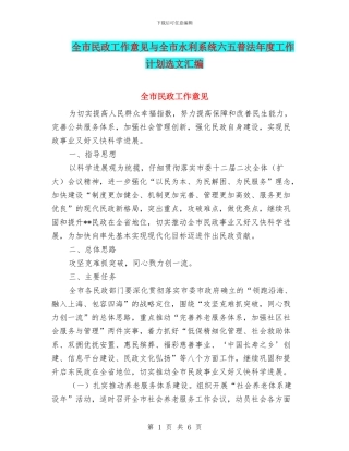 全市民政工作意见与全市水利系统六五普法年度工作计划选文汇编