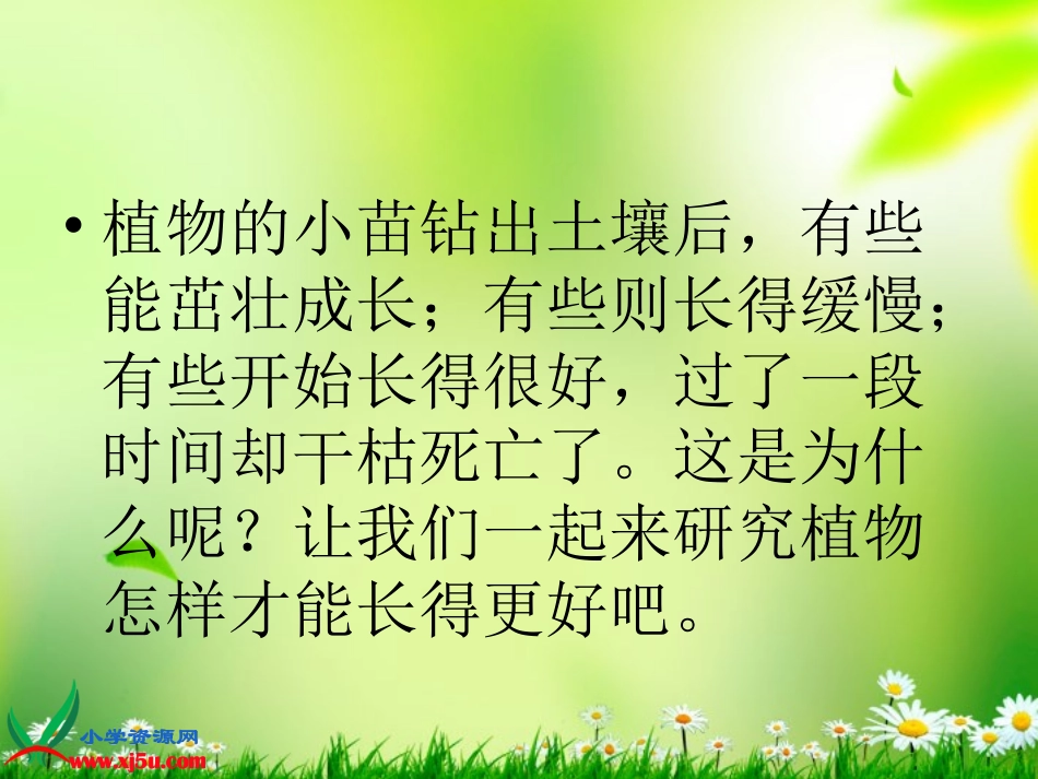 五年级科学上册_怎样使植物长得更好_1课件_冀教版_第2页