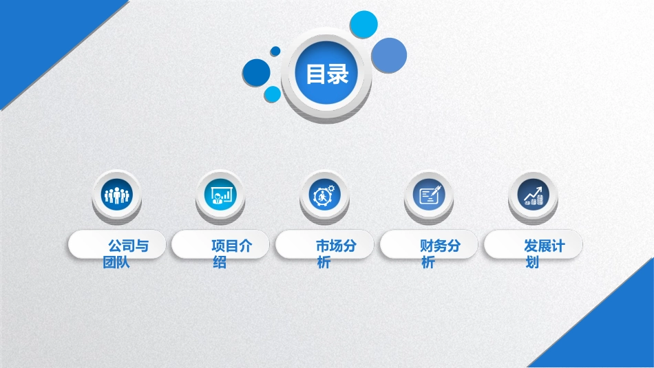 商业计划书化工_第2页