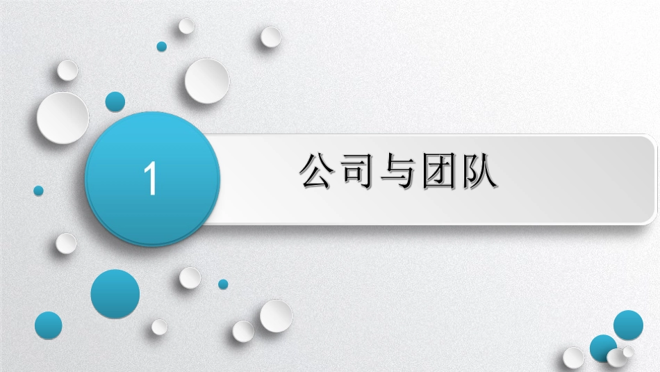 商业计划书化工_第3页