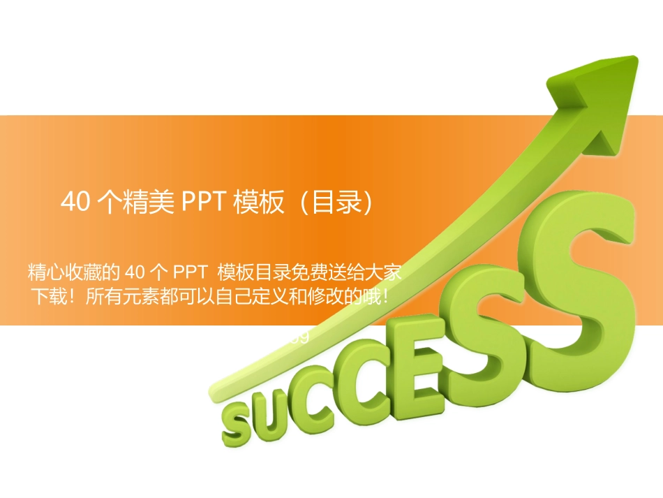 精美PPT目录模板_第1页