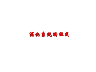 消化系统结构