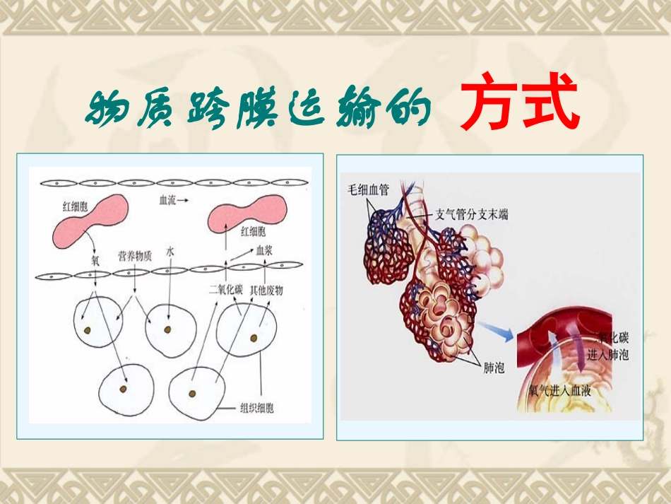物质跨膜运输的方式.讲ppt_第1页