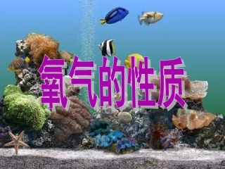 九年级化学氧气