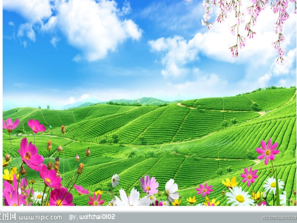 小学生写景作文课件_第2页