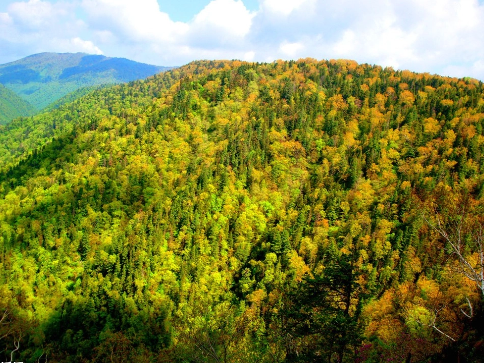 小学生写景作文课件_第3页