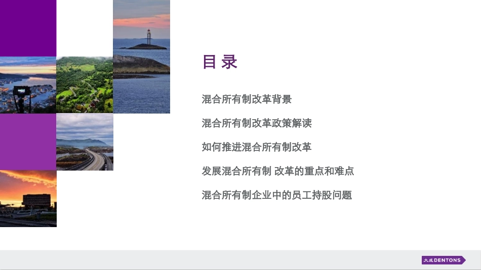 国企混合所有制改革与员工持股操作实务_大成dentons 20160417_第2页