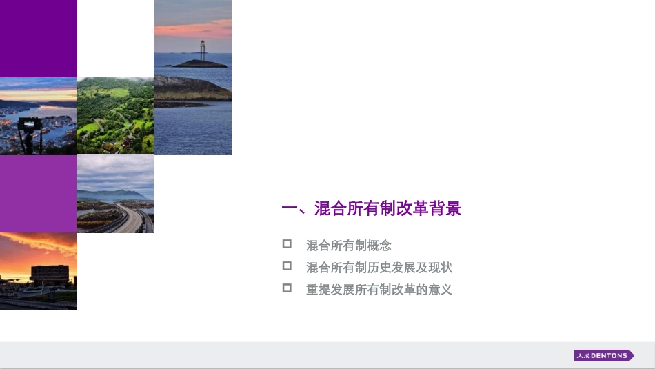国企混合所有制改革与员工持股操作实务_大成dentons 20160417_第3页