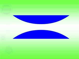 教科版五年级科学上册《食物链和食物网》课件